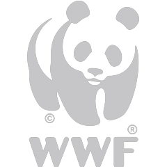 https://www.tsowasafariisland.co.za/wp-content/uploads/sites/15/2018/02/WWF-1.png