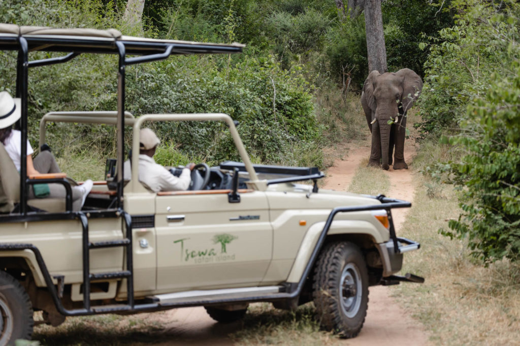 TsowaSafariIsland_Experiences_SafariDrives_elephant-banner