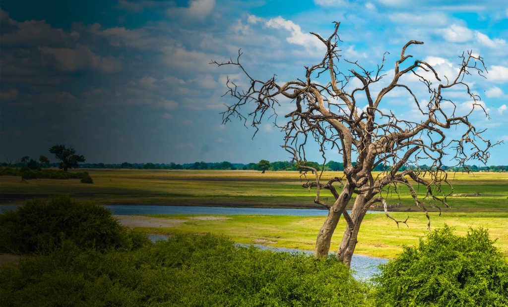 chobe-3333768362113 Tsowa Safari Island - Day Trip to Chobe