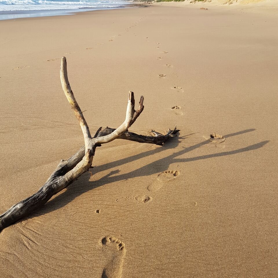 Footprint with stick