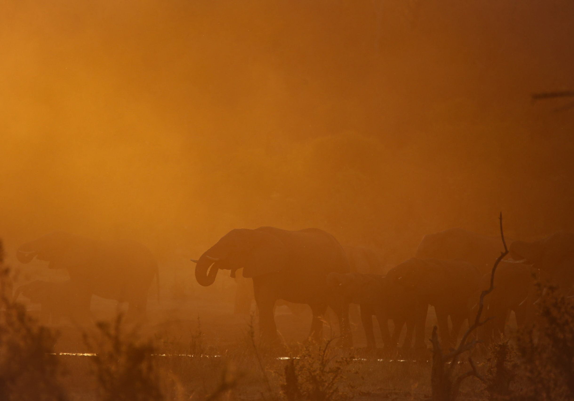 Tsowa Safari Island - Photo by Heléne Ramackers (7)