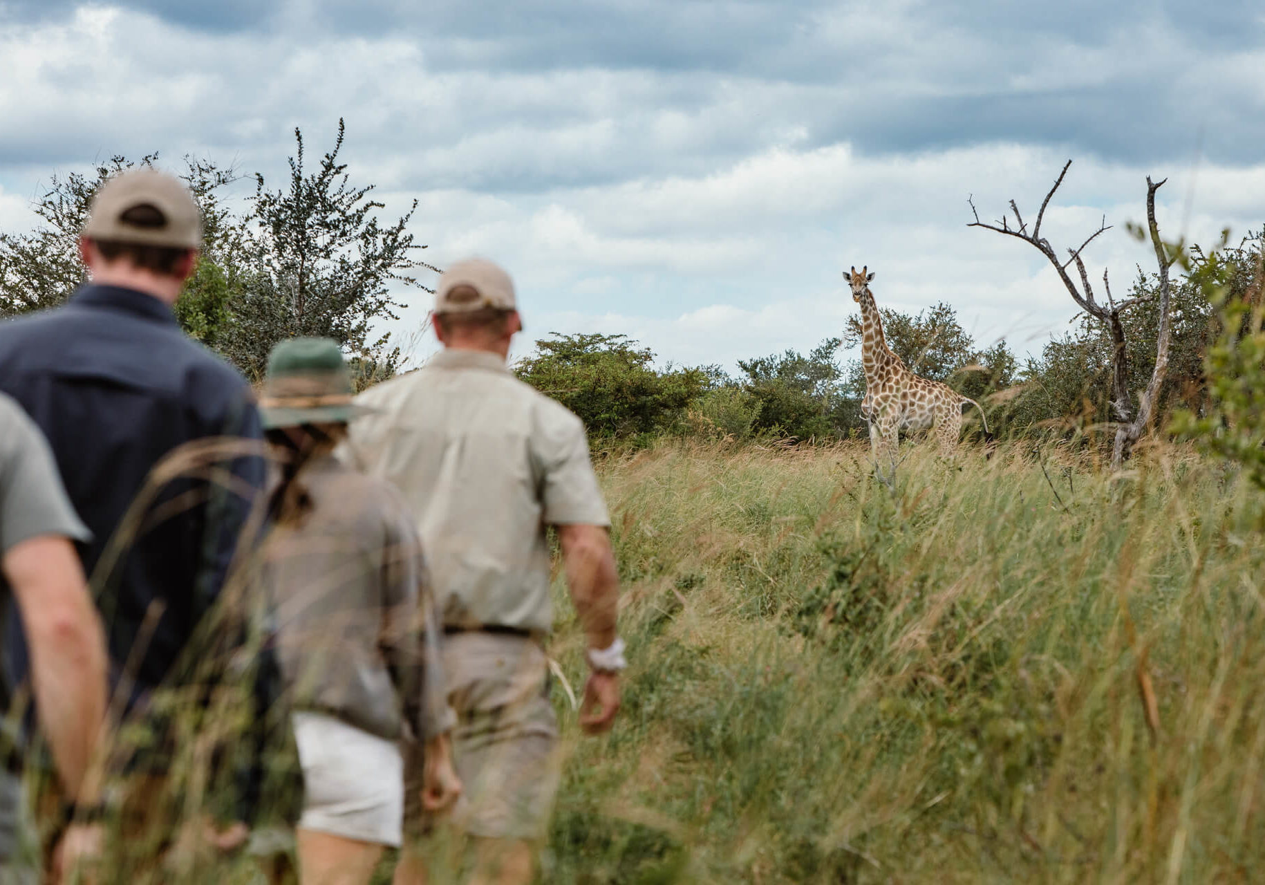 TsowaSafariIsland_Experiences_GameWalks_Giraffe-approach-banner