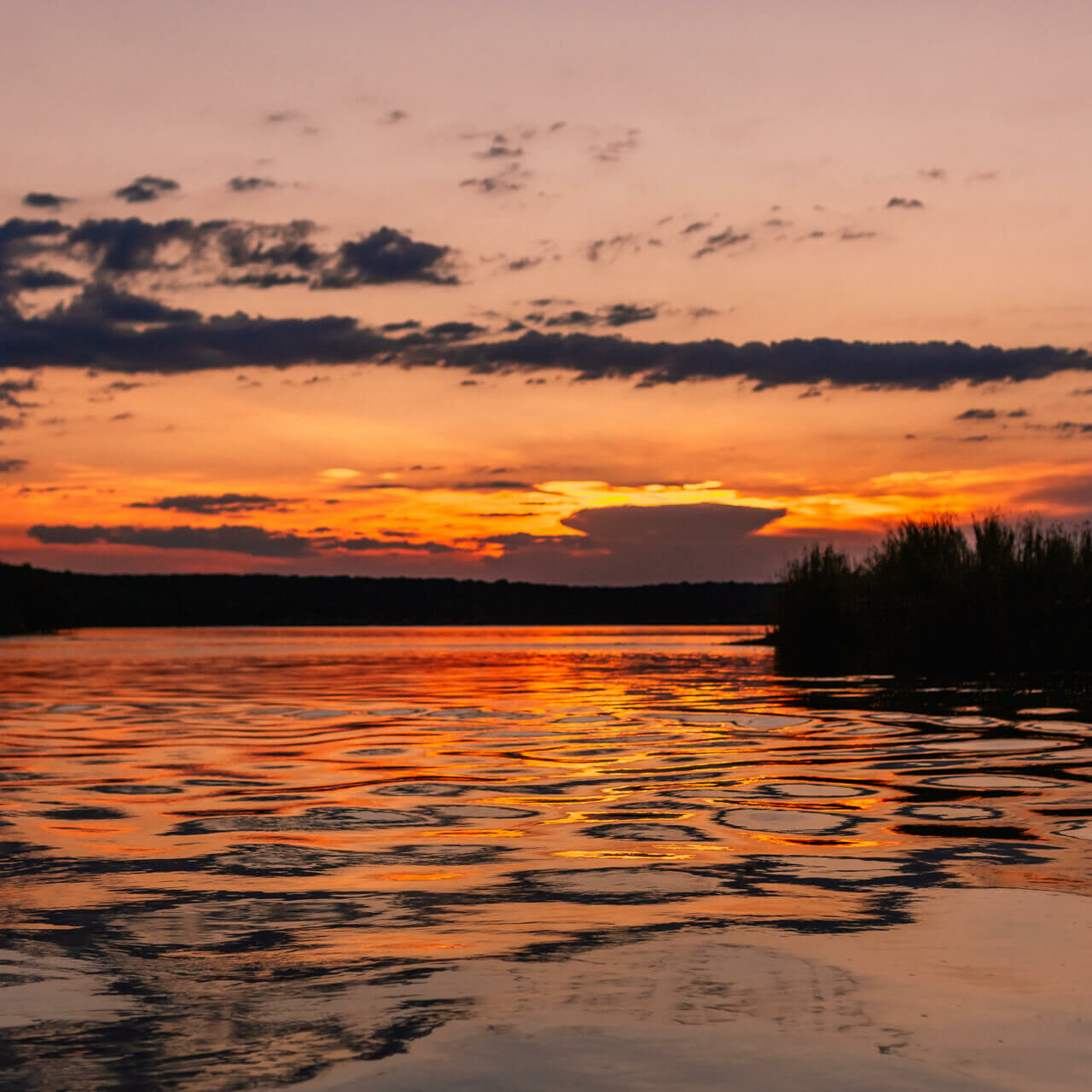 TsowaSafariIsland_Experiences_RiverCruise_Sunset